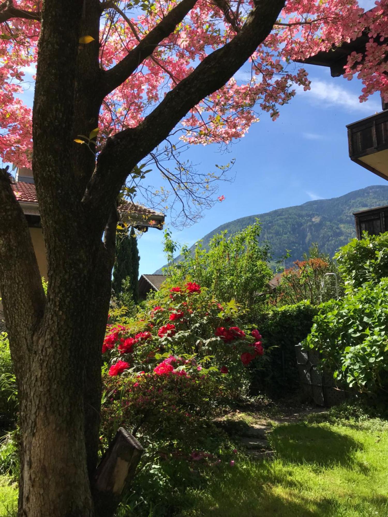 Appartments Elke Lagundo Dış mekan fotoğraf